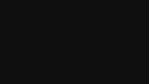 29055