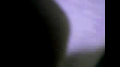 3155