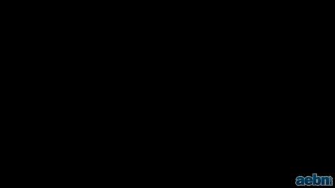 13116
