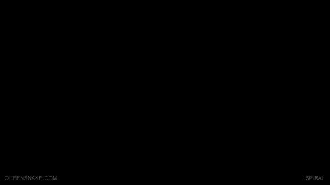 10807